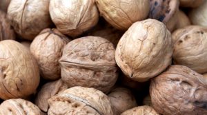 quả óc chó mỹ nhập khẩu