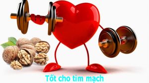 quả óc chó mỹ nhập khẩu