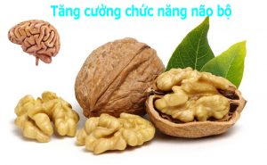 quả óc chó mỹ nhập khẩu