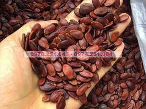 Những loại hạt tốt cho bà bầu và thai nhi
