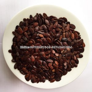 Hạt dưa Tp Hồ Chí Minh