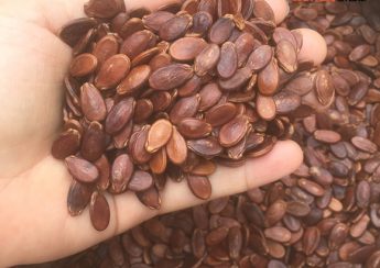 Ăn hạt dưa có những lợi ích gì?